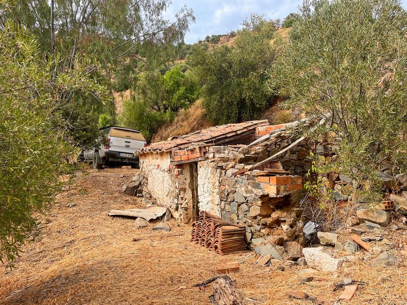 Foto 5969c912-f98b-48b0-b380-881b8466469c. Masia amb aparcament a Olías Málaga