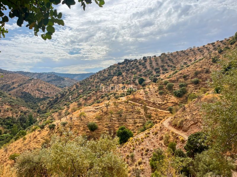 Foto 64593915-68f9-4fb6-8f0d-330d6b627b77. Masia amb aparcament a Olías Málaga