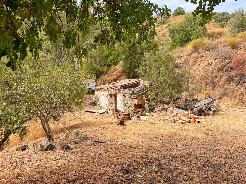 Foto 667243c8-024c-49bd-9dc2-47508473d939. Masia amb aparcament a Olías Málaga