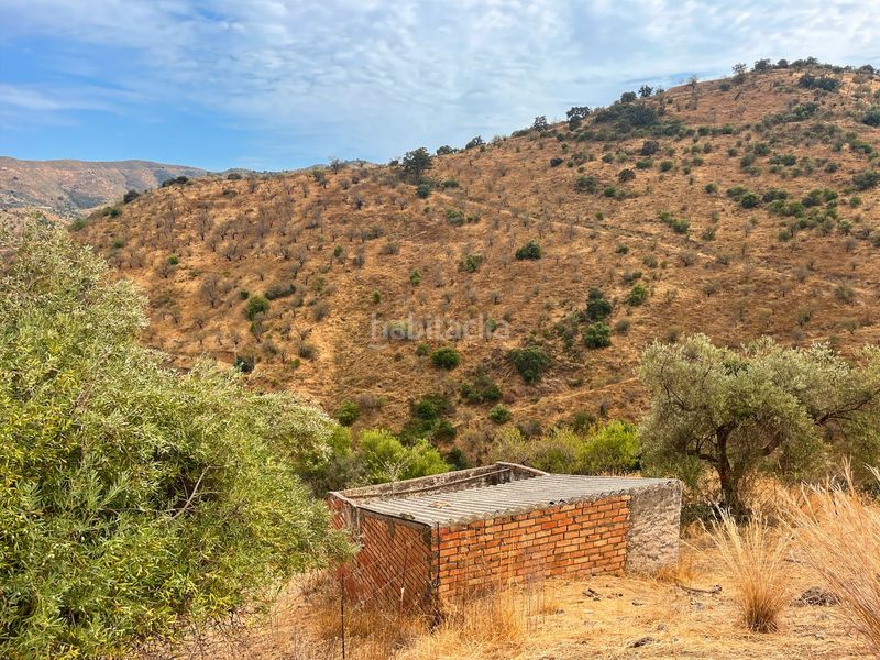 Foto 6717d1b3-69bf-40b1-98c8-08e603665d62. Masia amb aparcament a Olías Málaga