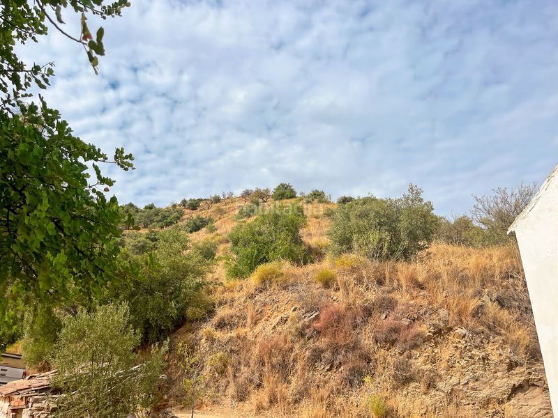 Foto b13b273d-14ce-4a25-8b9b-85d587344167. Masia amb aparcament a Olías Málaga