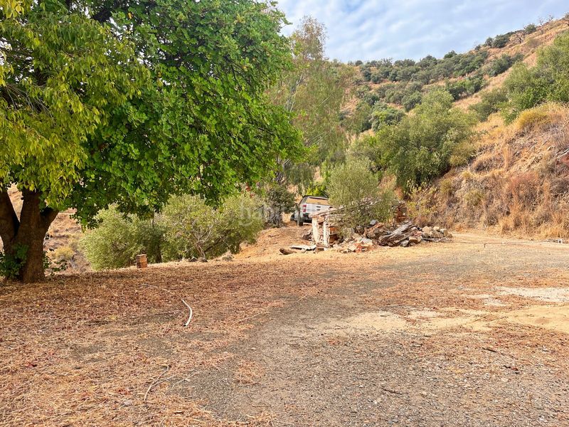 Foto d81738e3-ed07-4e65-a38f-f5aaa24959d4. Masia amb aparcament a Olías Málaga