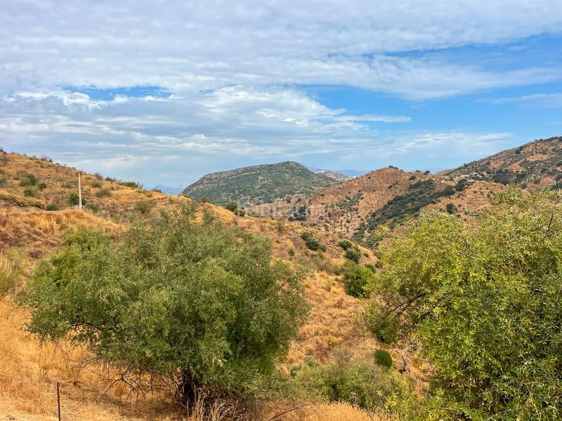 Foto d832a7dd-61b2-41ea-9807-3a0ee07c49f5. Masia amb aparcament a Olías Málaga