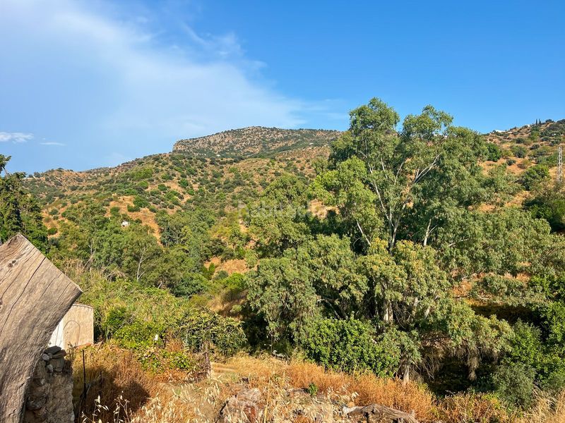 Foto 0a45b1f1-eee5-4d4f-8087-dc0e60cf9470. Masia a Comares