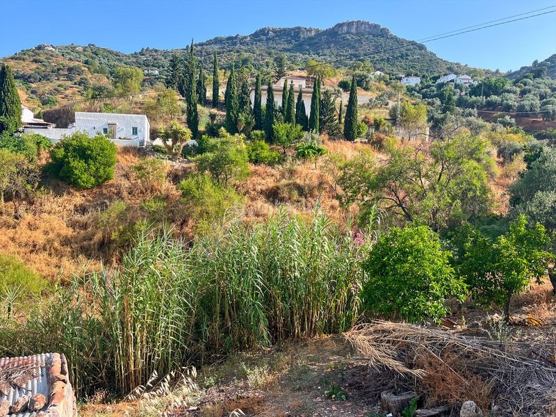 Foto 1aabee4f-8752-4640-ab68-b73dc46d20bb. Masia a Comares