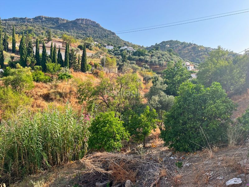 Foto 4b2efd2a-f67d-4c01-a185-c20237983e9c. Masia a Comares