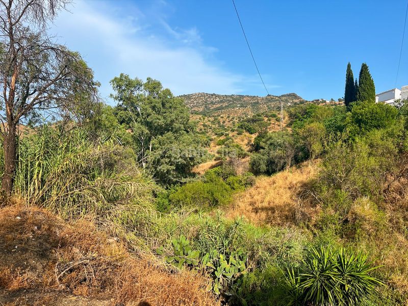 Foto 52905c95-ec5a-4a79-a3cc-29370a94623b. Masia a Comares