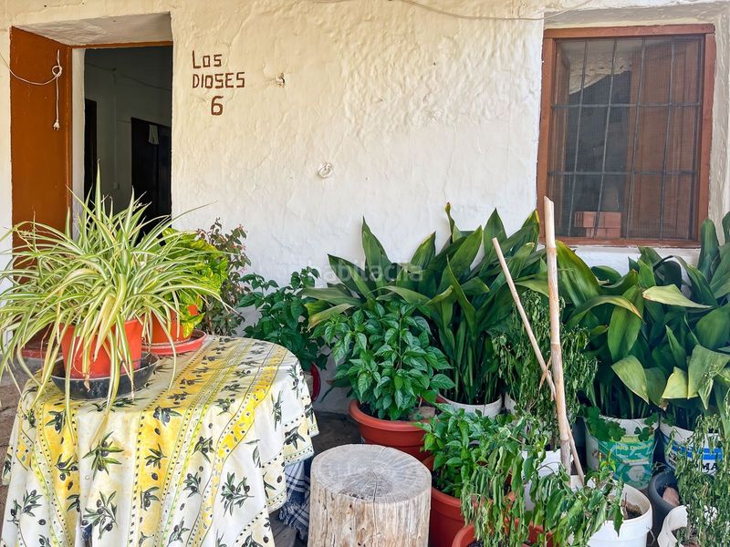 Foto 6b573a9f-a962-4860-abcb-9990652e5389. Masia a Comares