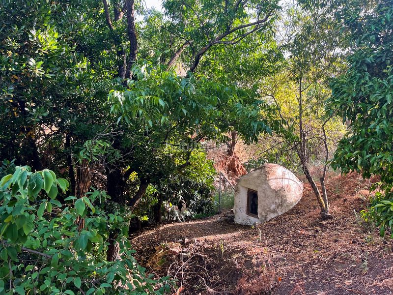 Foto 84a4a1e0-ef99-495b-9fcc-c76b6051c009. Masia a Comares