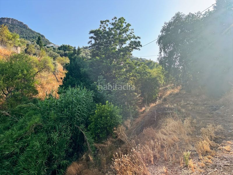 Foto 8ddfa53c-f4fc-4421-b5d5-29f84bbfee48. Masia a Comares