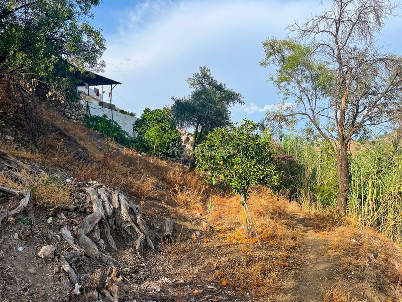 Foto 9f75a897-580e-4bac-b011-2e6f4ae17a57. Masia a Comares