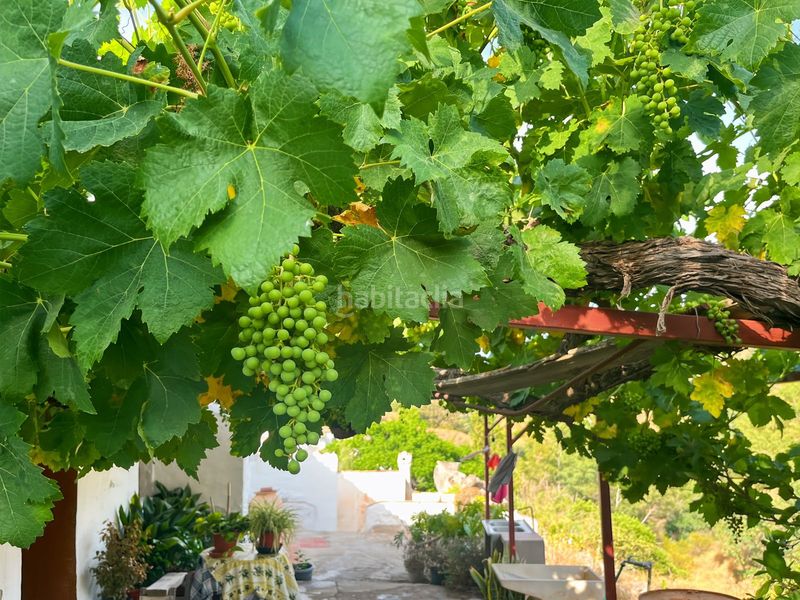 Foto e33d6837-d5ec-4543-9e25-7570fbfc5614. Masia a Comares