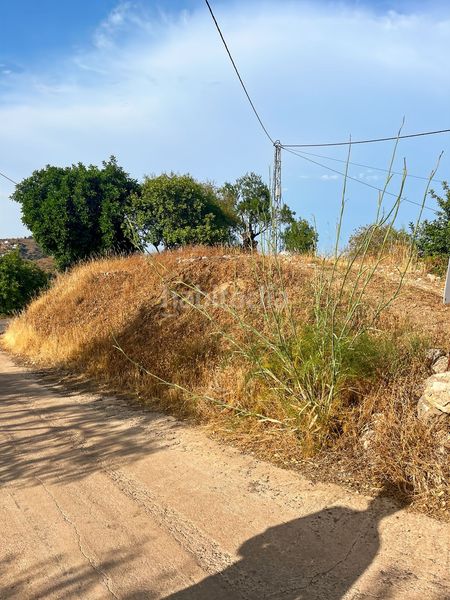 Foto f9983265-327a-4f43-a386-1f92699faded. Masia a Comares