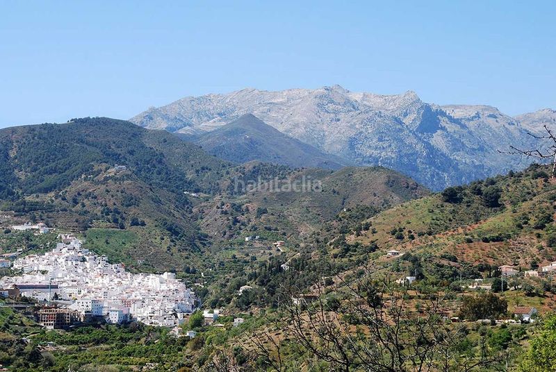 Foto 4df0050d-2008-4023-84d4-80b3fc511cf4. Local comercial a Tolox