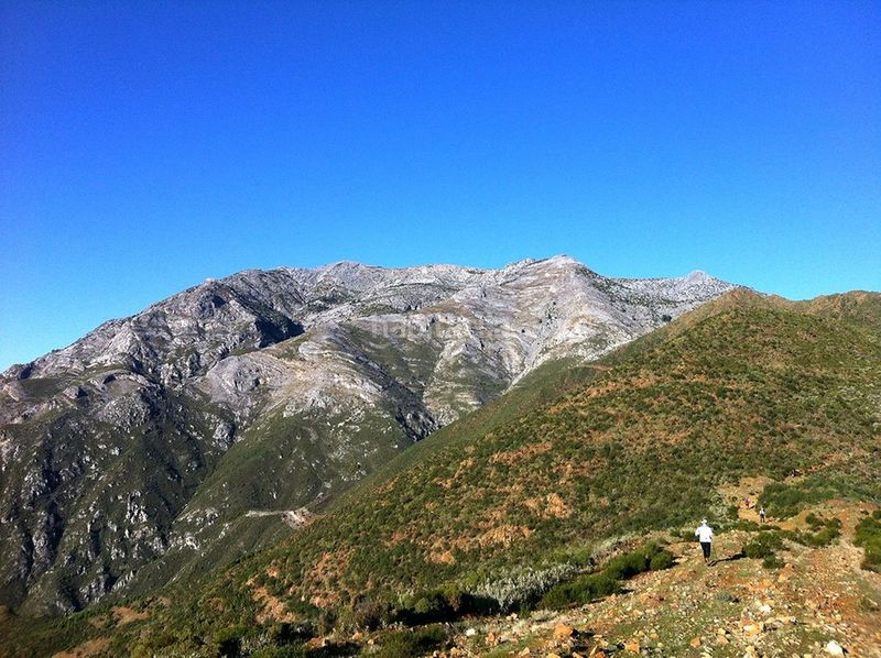 Foto a775a0a3-2616-4210-8cd9-cda8c2c95cb4. Local comercial a Tolox