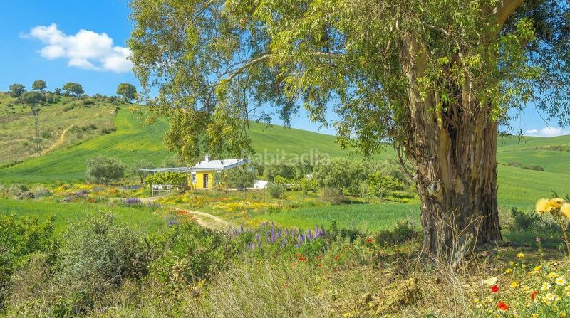 Foto ac215092-1edb-4afe-9a79-b8873efe8dcd. Masia amb aparcament piscina a Coín