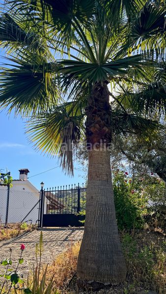 Foto 4a86bc06-c269-4160-bae8-e0bc0deb604a. Mas avec parking piscine dans Olías Málaga