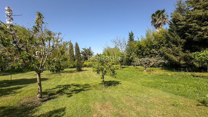 Foto c48767a3-fea9-4ac6-bf10-26de0a6bfb33. Casale con parcheggio piscina in Centro Alhaurín el Grande