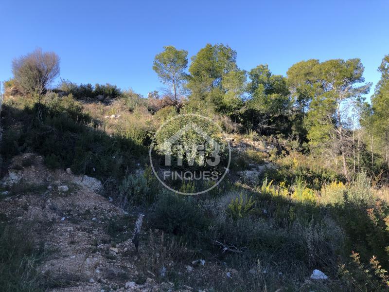 Foto 1d4825b2-ba3c-42d2-8175-a6e47e0c954c. Terreny residencial a Vandellòs i l´Hospitalet de l´Infant