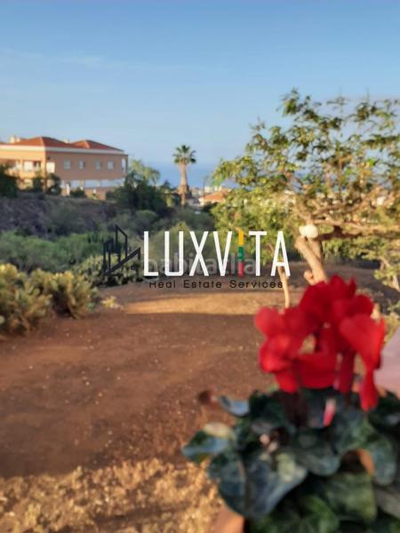 Foto 143765cf-b6e3-4fdb-98c1-03c0b4c884c6. Maison jumelée dans calle del cardón 5 dans Playa Fañabé Alto Adeje