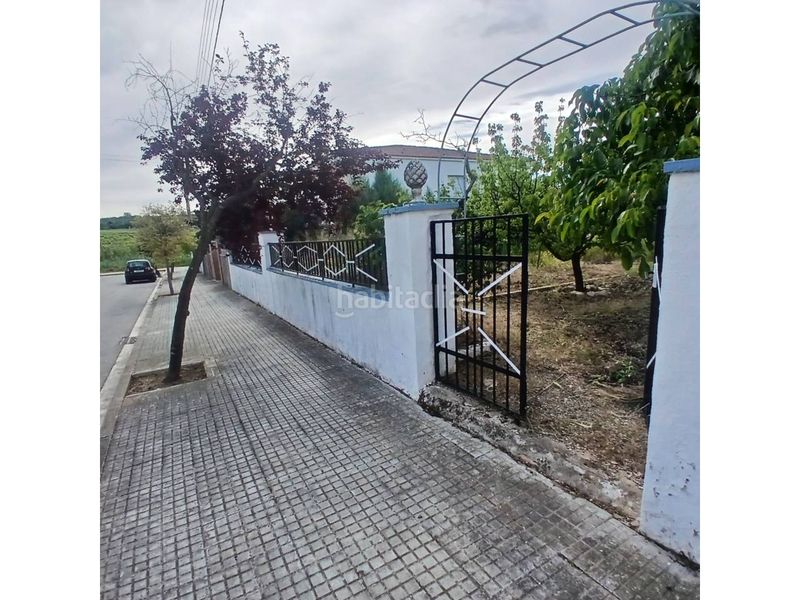 Foto 165b538f-06ea-4c5e-83b7-bca9346a72c7. Terreny residencial a Piera