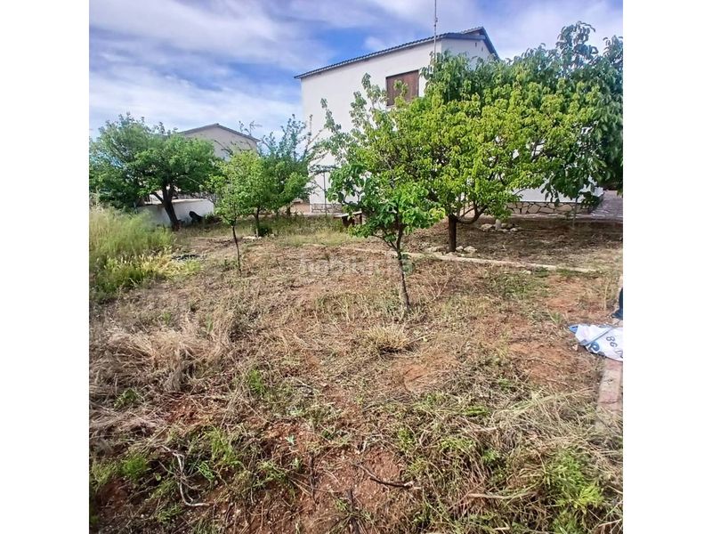 Foto 45f89c97-d9f1-4f93-b051-6011824391bc. Terreny residencial a Piera