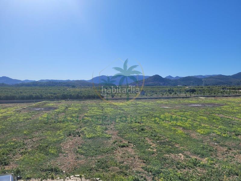 Foto 68ba1712-c6d1-474f-97e6-79721efbcdb3. Haus in partida sant josep in Oliva pueblo Oliva