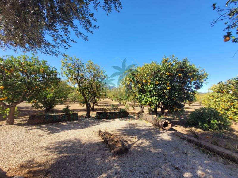 Foto c427650b-0af2-4439-a8d7-cce402891cd6. Haus in partida sant josep in Oliva pueblo Oliva