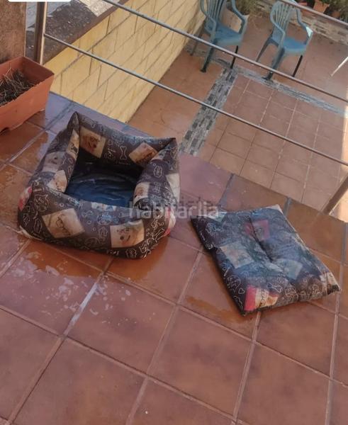 Foto cb4dc171-1b29-47a3-8dac-882e742881ac. Casa adosada adosado en la cañada en La Cañada - Aldea Moret Cáceres