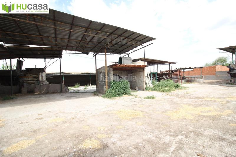 Foto 5dd83e01-e717-48c5-b99f-4b03899bcc5a. Terreny residencial a Santa María de Benquerencia Toledo