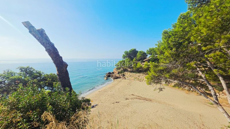 Foto b4c33f5f-0f85-40f4-93c6-77219b0bc57d. Pis a Passeig Marítim Miami Platja