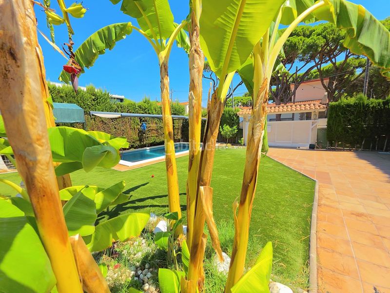 Foto c9fd2af6-8719-4a81-9537-ebec1dab4ae4. Maison avec chauffage parking piscine dans La Pineda Castelldefels