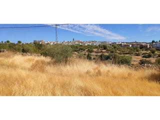 Finca rstica en Los retamales sn. Parcela hornachuelos