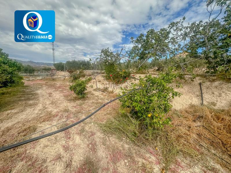 Foto 276480f3-bd70-4408-9f1d-d5f185035b2a. Terreno residenziale in Montnegre Alicante