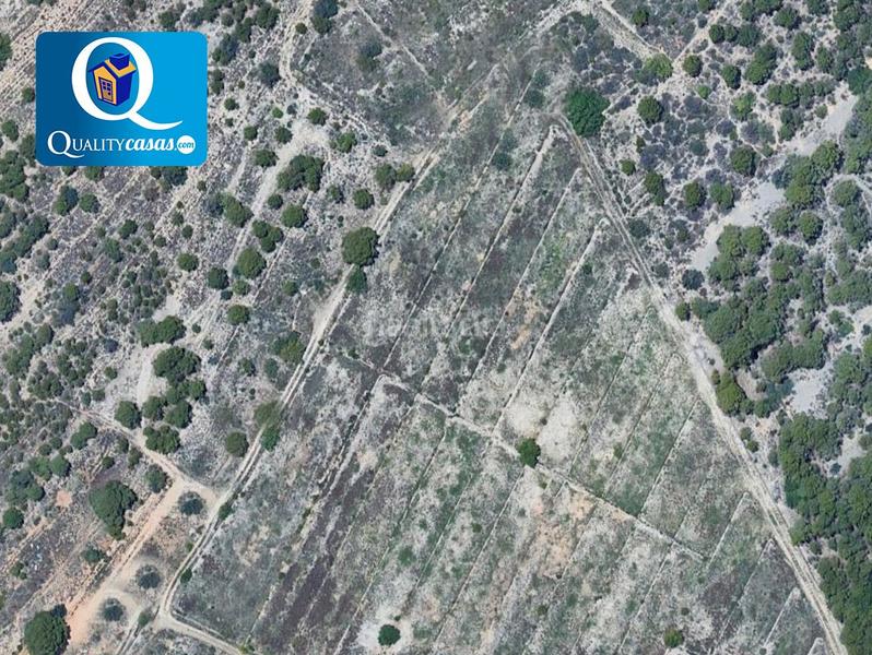 Foto cac89731-dd19-4a36-8c84-ee342c55e708. Wohngrundstück in Polop