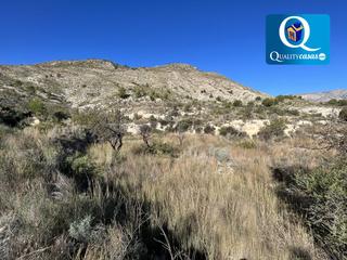 Terreno residencial en Orxeta. Parcela en venta en orcheta.