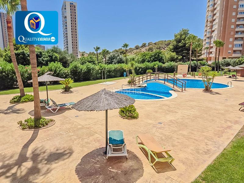 Foto 0ab1c146-6e38-4305-969d-40a3c3e0a684. Location appartement avec parking piscine dans Via Parque Benidorm