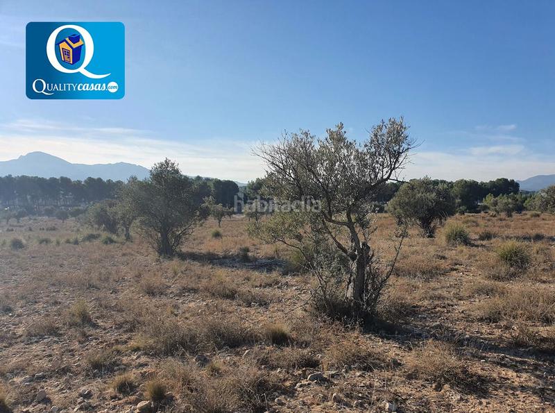 Foto 0a98e48a-f908-473f-8b1a-7b4b971a1c16. Terreno residencial parcela en venta en la solana. en Villena