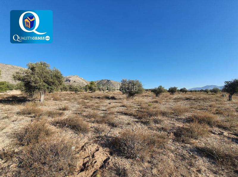 Foto 4932fdff-d8e5-4fbf-9976-fddac69f2abe. Terreno residencial parcela en venta en la solana. en Villena