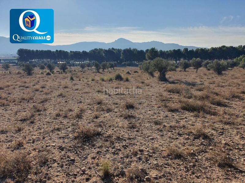 Foto 4a46527b-e978-4d01-ad71-2563d7022ad2. Terreno residencial parcela en venta en la solana. en Villena