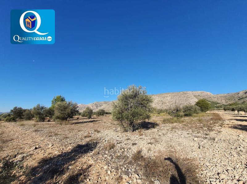 Foto 7c30c00d-c4d2-4305-9ff4-afc281a7b22a. Terreno residencial parcela en venta en la solana. en Villena