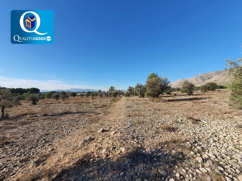 Foto 9da3c1e3-9e82-4a2a-a22b-b372c7a74370. Terreno residencial parcela en venta en la solana. en Villena