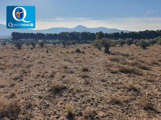 Solar industrial en Campo Alto-Club de Campo. Parc. ind. en venta en elda.