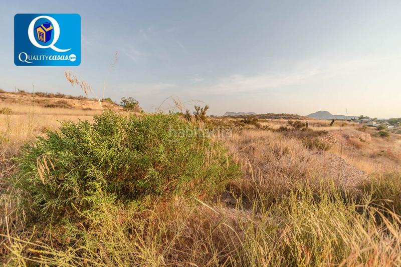 Foto 5fb8951c-efca-4b82-816a-70939096b10f. Terrain résidentiel dans Moralet Alicante