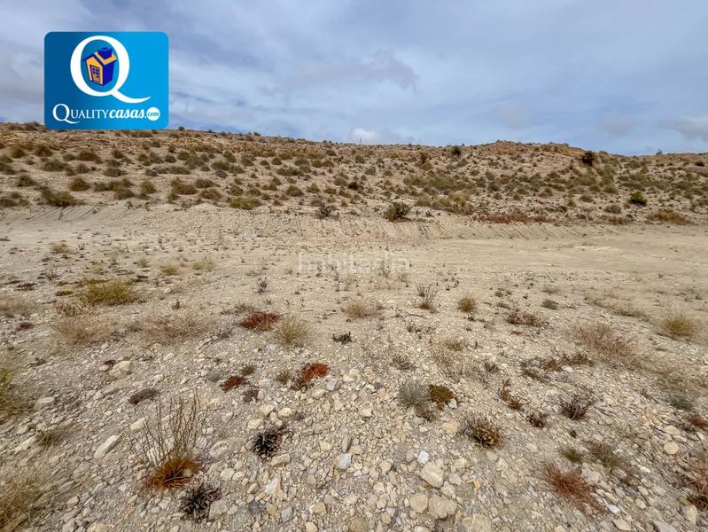 Foto 46458aff-d8ba-4dc9-bac1-efc22f7f4652. Terrain résidentiel dans Montnegre Alicante