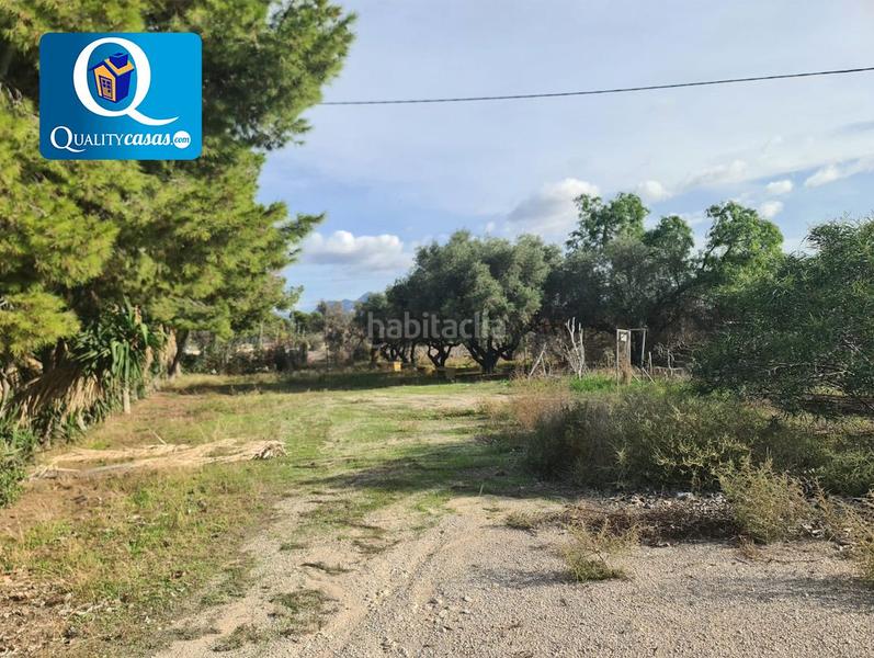 Foto 5bc8152d-01a7-4af7-a8dd-8ecc251f3747. Local comercial a La Huerta Mutxamel