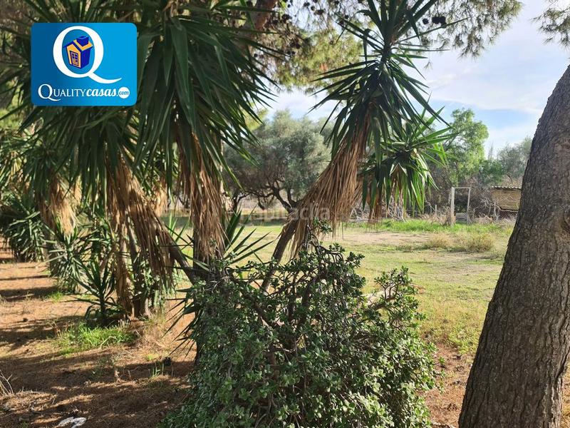 Foto f0407a5a-9ec0-4331-906b-68d2a5f2270a. Local comercial a La Huerta Mutxamel