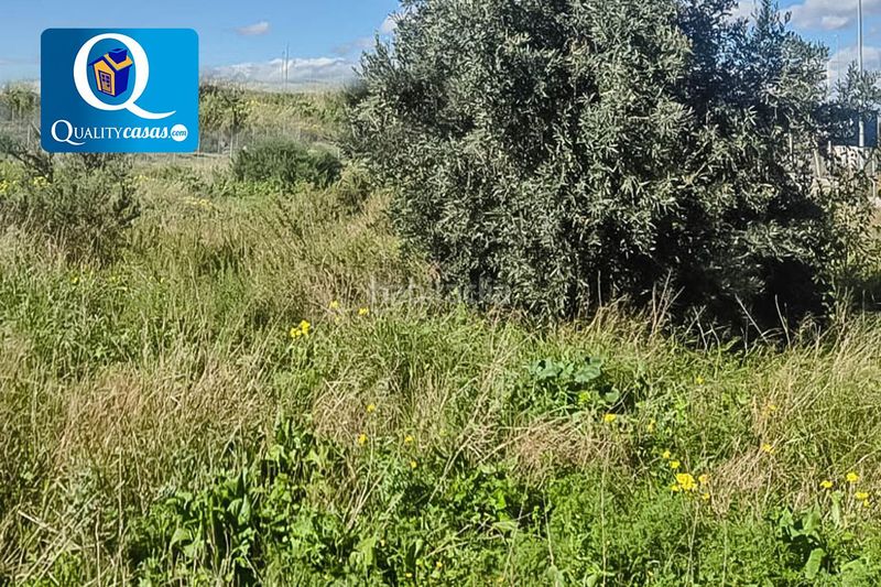 Foto 7d224487-375b-4966-bf78-19b211345139. Terreny residencial a Almajada-Ravel Mutxamel
