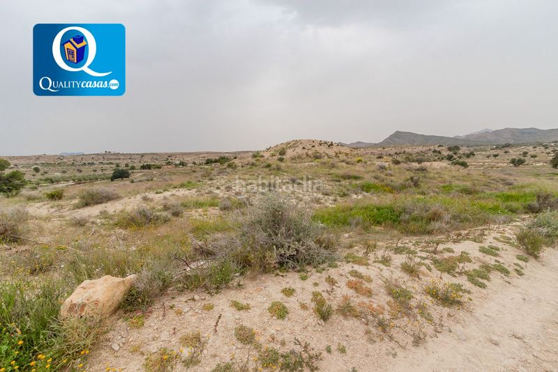 Foto 1b01a093-38d9-425a-a1d9-dc457a06c60f. Terreny residencial a Valle del Sol Mutxamel