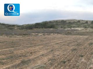 Terreny residencial a El Bacarot